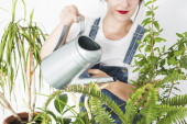 Baštovanski trik: Napravite jeftinu prihranu za biljke i oživljavanje reznica pa uživajte u džungli za samo par nedelja (VIDEO)