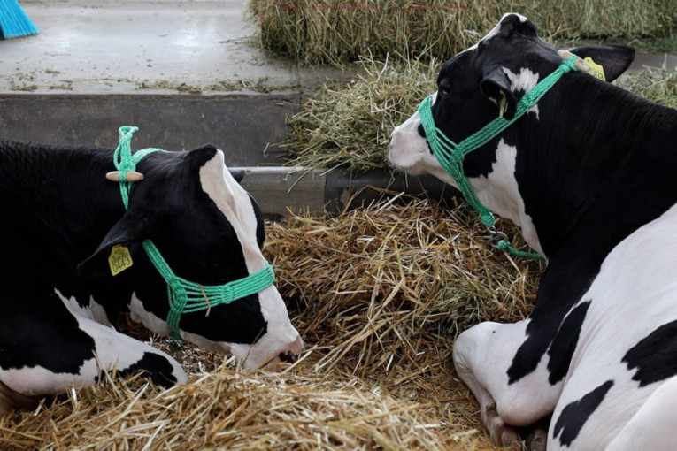 Proverite e-poštu! Novac je, možda, već legao na vaš račun