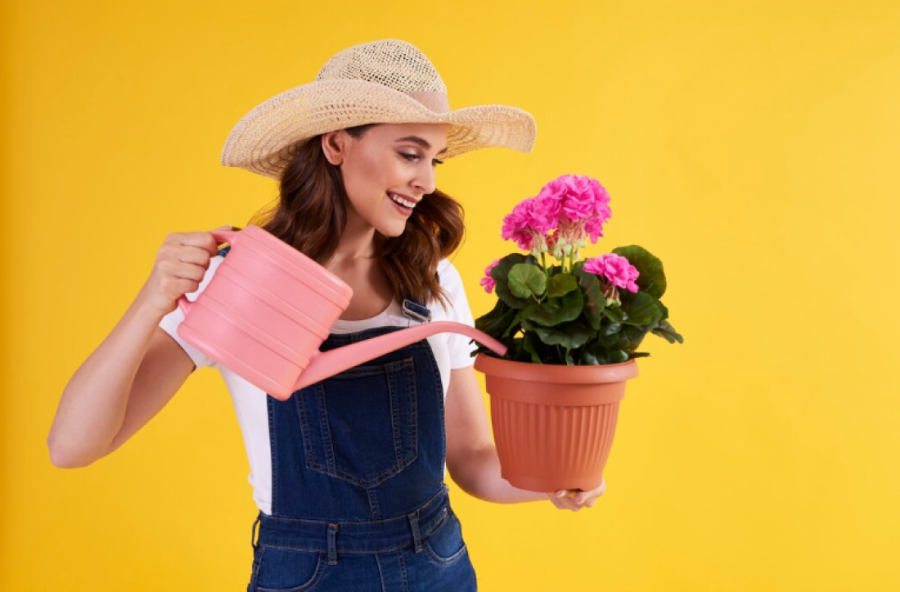 I njima je vruće: Efikasni saveti za zalivanje biljaka tokom toplotnog talasa - sprečite isušivanje i obolevanje vaših zelenih mezimica