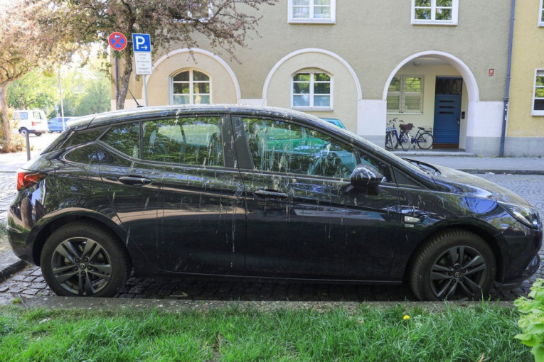Deluje bezazleno, ali može da napravi veliku štetu: Evo šta ptičji izmet radi laku automobila i kako pravilno reagovati