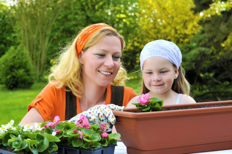 Feng šui upozorava: Ako držite ove stvari na trpezarijskom stolu, možete nesvesno da blokirate energiju blagostanja