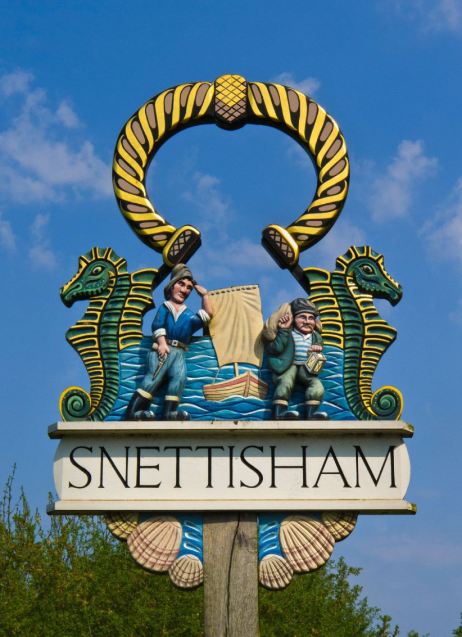 Pilići razdora: Selo teroriše 100 divljih kokošaka koje kokodaču od četiri sata ujutro i privlače pacove