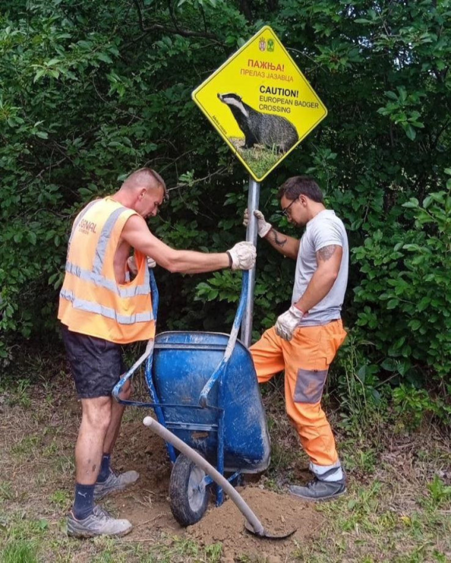 Pažnja! Lisica, jazavac i srna prelaze put! Hit table iznenadile sve na Tari, Kopaoniku i Fruškoj gori (FOTO)