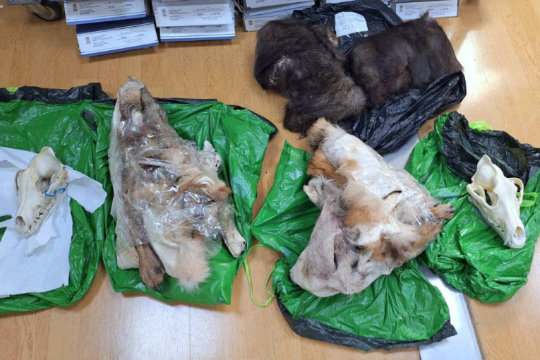 Šok u Preševu: Carinici zaplenili lobanje i kožu! (FOTO)
