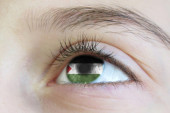 Koje države su do sada priznale državnost Palestine? Srbija među prvima rekla svoje "da"