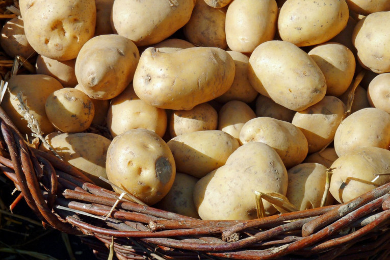 Recept dana: Đulbastije u bešamel sosu su zasitno jelo koje će oduševiti svakog ko ga proba