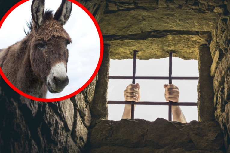 Srednjovekovna tortura koja ledi krv u žilama: Mučenje "španski magarac" je ostavljalo žrtvu u agoniji satima (FOTO)