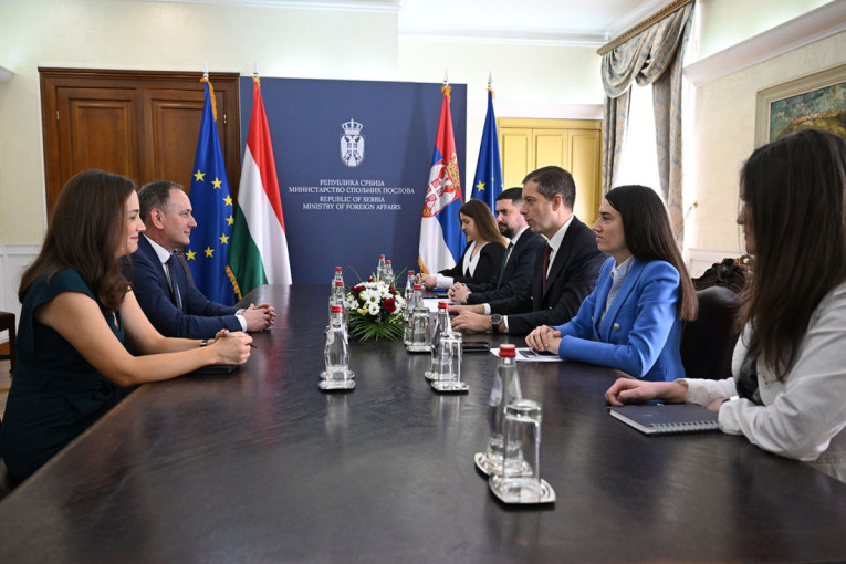 Đurić se sastao sa ambasadorom Mađarske: Bliskost srpskog i mađarskog naroda najbolji zalog za budućnost!