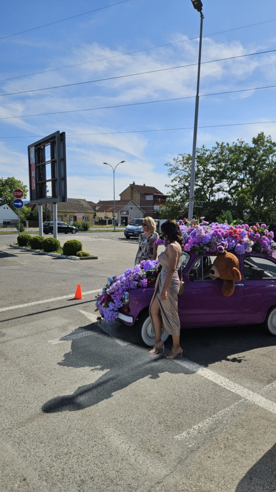 Prelepa slika iz Novog Sada: Ljubičasti fića okićen sa 1.000 ruža – svi žele da se slikaju pored njega (FOTO)