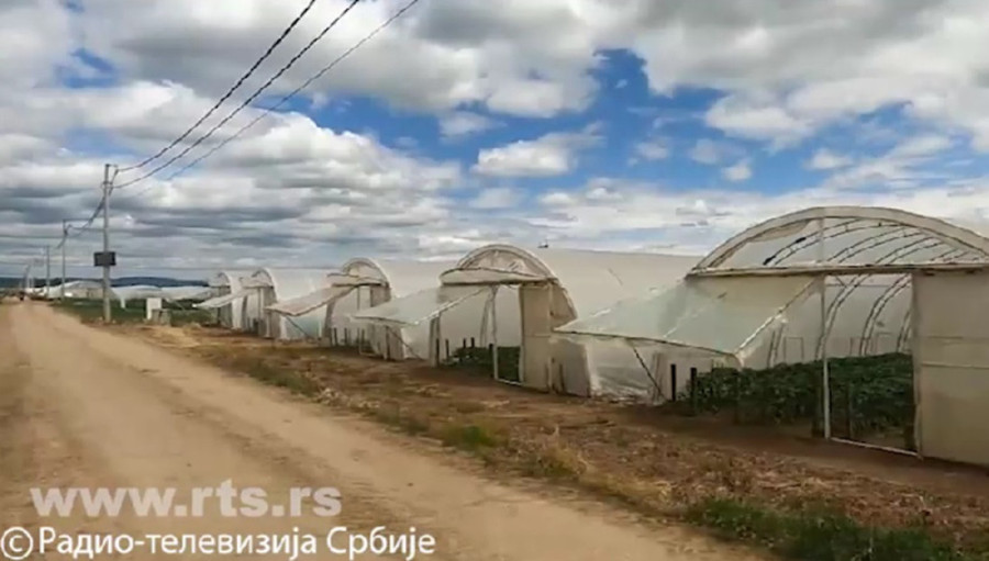 Hektar zemlje košta kao kuća! U Sa(n)marinovcu ima 200 povrtara, a najhrabriji su proizvođači bostana!