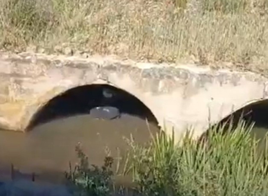 Agenti FBI i ronioci traže telo: Neverovatan video iz Španije o potrazi za Anom Knežević (FOTO/VIDEO)