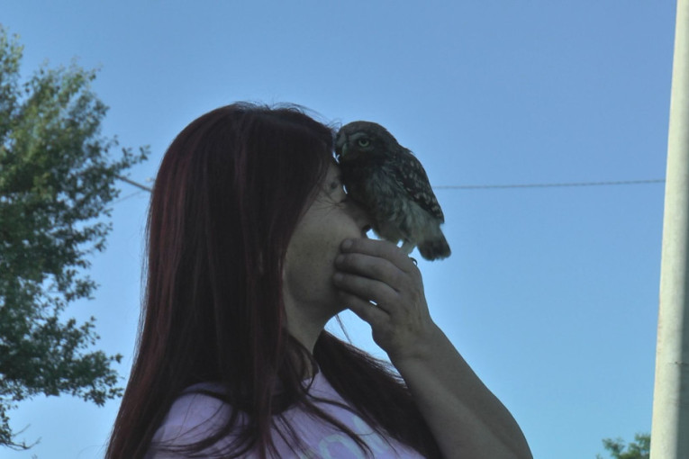 Sova kukumavka obožava ljude, Bacićima je postala kao član porodice: Doleće na rame i jede iz ruke (FOTO)