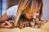 TOP 7 mačaka idealnih za ljude s alergijama: Rase koje ne izazivaju kijanje i svrab