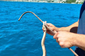 Lokalni ribar uhvatio zmiju u neumskom zalivu: Evo o kojoj vrsti gmizavca je reč i da li je opasna po kupače (VIDEO)