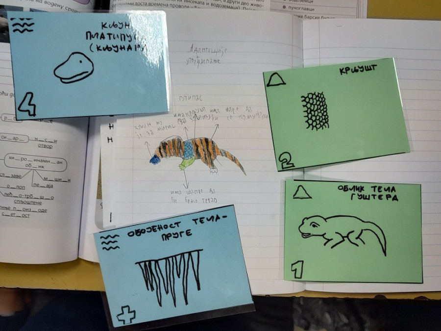 Đaci prave svoje hibride i uče kako se prenose geni: Nastavnica iz Pančeva nagrađena za inovaciju u nastavi biologije