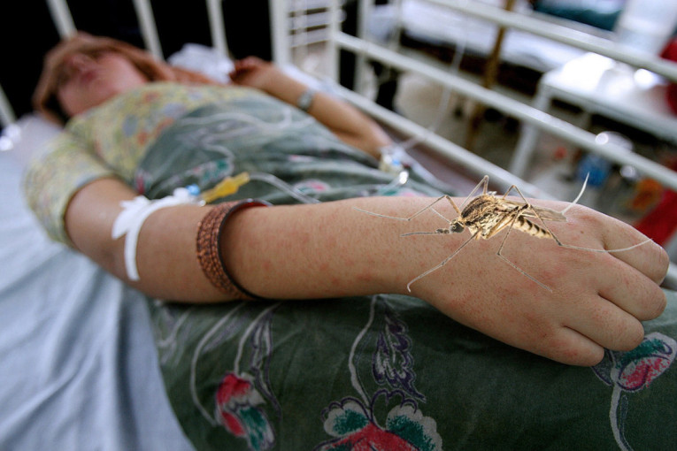 Šokantno upozorenje! Stigla najezda komaraca koji izazivaju opasnu denga groznicu: Nakon uboda osip se širi po čitavom telu!