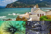 Dragon fish i morski ježevi mogu od letovanja da naprave košmar! Turisti u Grčkoj u panici, evo šta savetuju doktori