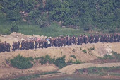 Ispaljeni hici upozorenja! Drama na granici između Severne i Južne Koreje