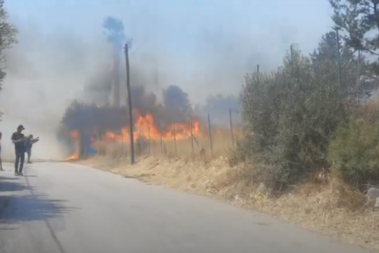 Požar divlja u predgrađu Atine! Vatra počela da zahvata kuće, naređena evakuacija (VIDEO)