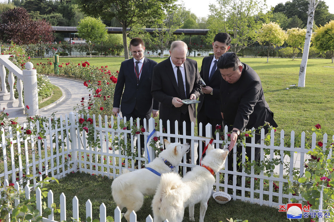 Jedinstven „suvenir“: Kakve je pse Kim Džong Un poklonio Putinu
