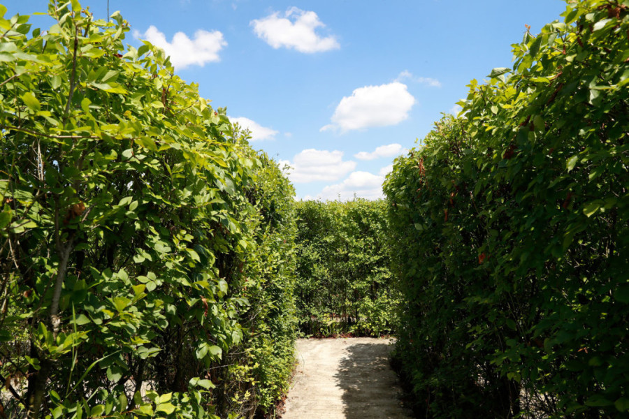 Vratili smo se u detinjstvo! Dan za pamćenje: Izgubili smo se u najvećem lavirintu Evrope i pronašli beskrajnu zabavu! (FOTO/VIDEO)