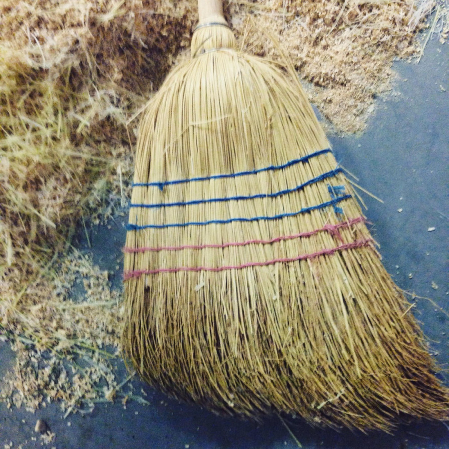 Obilje je nadohvat ruke: Trikovi naših baka zbog kojih novac uvek ulazi u kuću