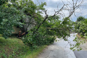 Petnaest sela u Gadžinom Hanu ponovo dobilo struju: Olujni vetar obarao drveća i stubove, mnoge ulice i dalje neprohodne