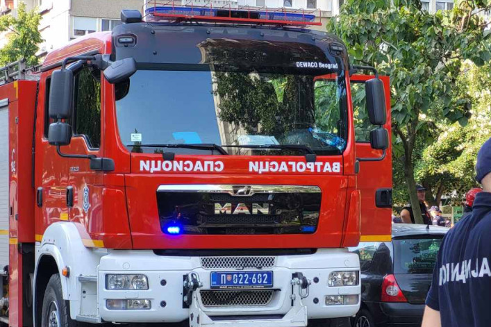 Opština Voždovac i "Srbijašume" u misiji očuvanja životne sredine: Na Avali posađena nova stabla uz poruku predsednice opštine Jakšić