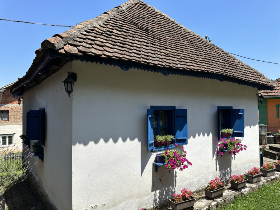 Saša u Zlakusi napravio jedinstven muzej: Obilaze ga naši đaci, ali i Indonežani i Japanci (FOTO)