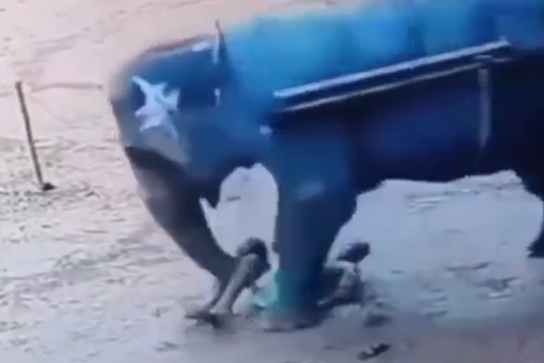 Slonica ubila čuvara, kamera sve snimila: Bockao ju je štapom dok ga nije oborila, pa izgazila (VIDEO)