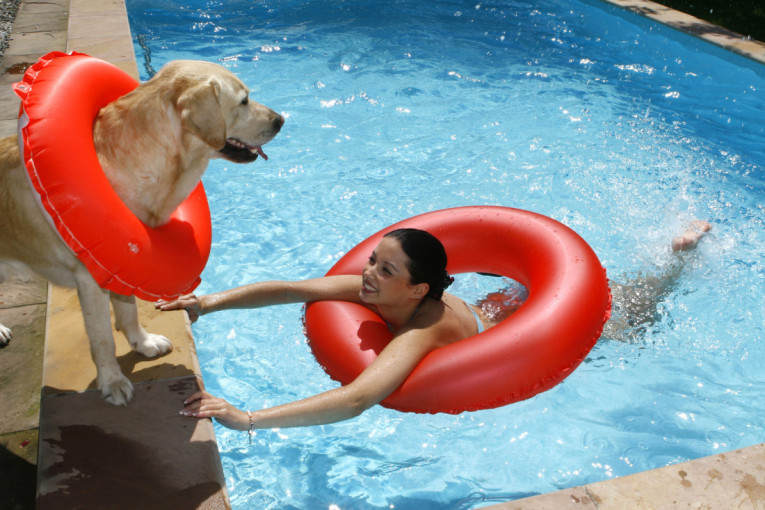 I njima je vrućina: Šta sve treba da znate ako želite da pustite svog psa da se brčka u bazenu