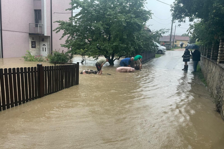 Uklanjali stabla, crpli vodu, evakuisali ljude: Zbog nevremena najviše intervencija na teritoriji Beograda