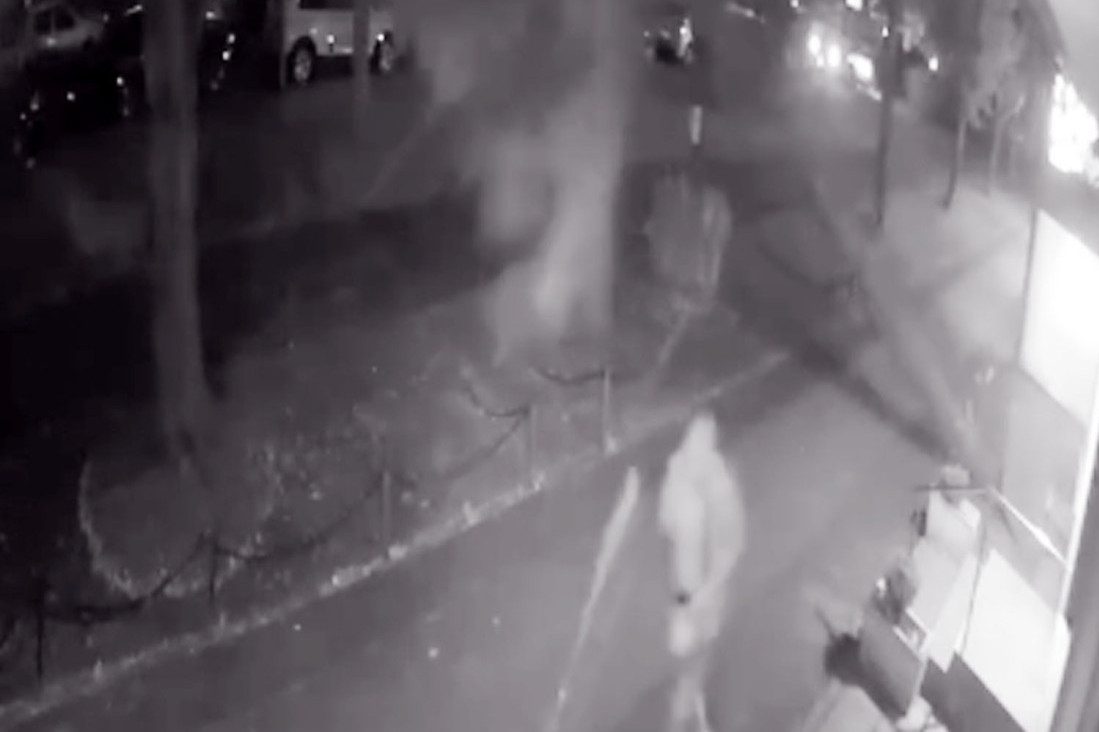 Drvo umalo da ubije čoveka u Novom Beogradu: Prošao trenutak pre nego što je palo na asfalt (VIDEO)