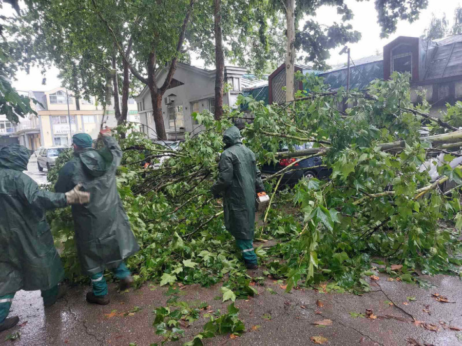 36 sati na terenu! Ekipe "Zelenila" imale 461 intervenciju, evo šta je sve oluja oštetila