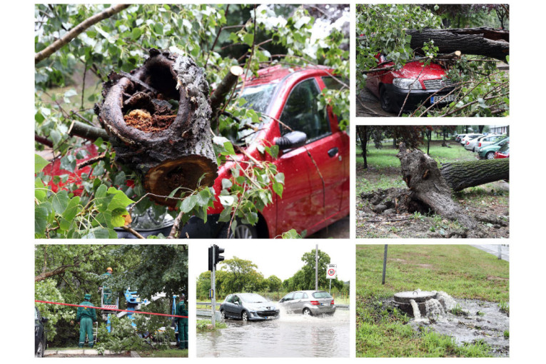 Kao da je protunjao armagedon! Stišala se oluja u Beogradu, na sve strane izlomljeno drveće, nasukani automobili! RHMZ - još nije gotovo!