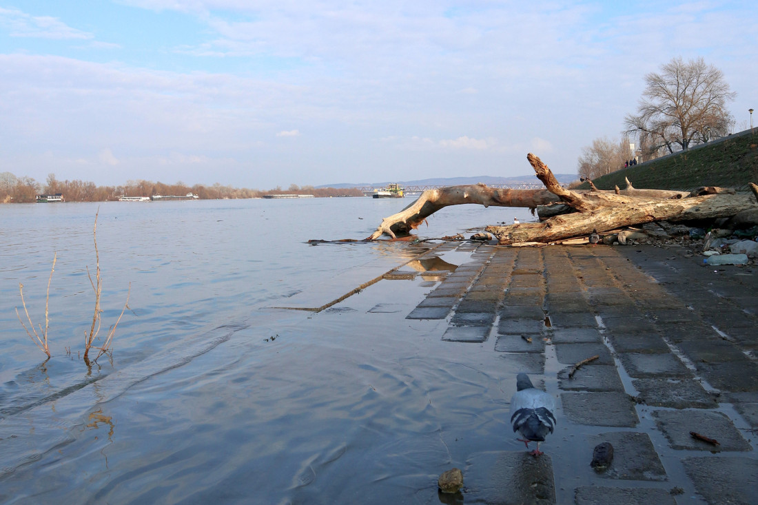 Macut: Ministri da budu operativniji, vreme da se razmišlja o rekonstrukciji vlade