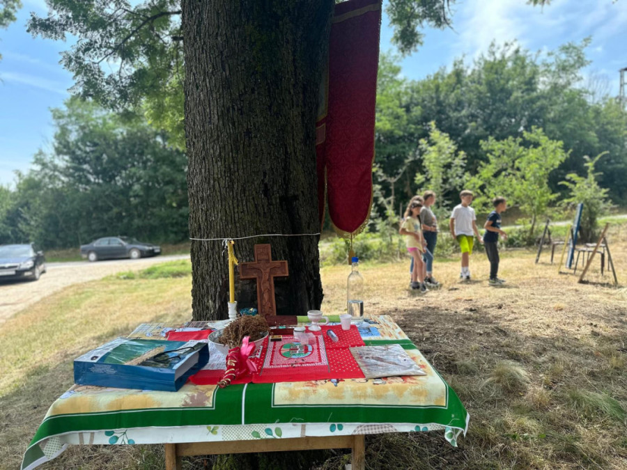 Nenad se vraća u rodno selo da bi ispoštovao stari srpski običaj: Sa meštanima se moli ispod drveta oskoruše (FOTO)