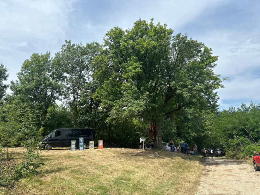 Nenad se vraća u rodno selo da bi ispoštovao stari srpski običaj: Sa meštanima se moli ispod drveta oskoruše (FOTO)