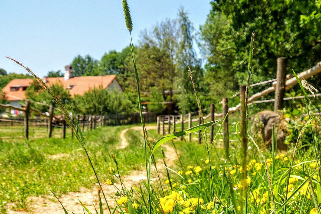 Daleko od gradske gužve: Ovo su top 3 najpovoljnije nekretnine u Srbiji, evo koja im je cena