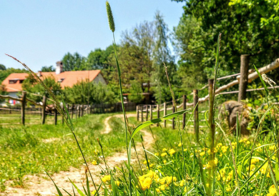 Mladi sve više žele "pametne kuće": Srbija prati trend, a evo kako se kreću cene!