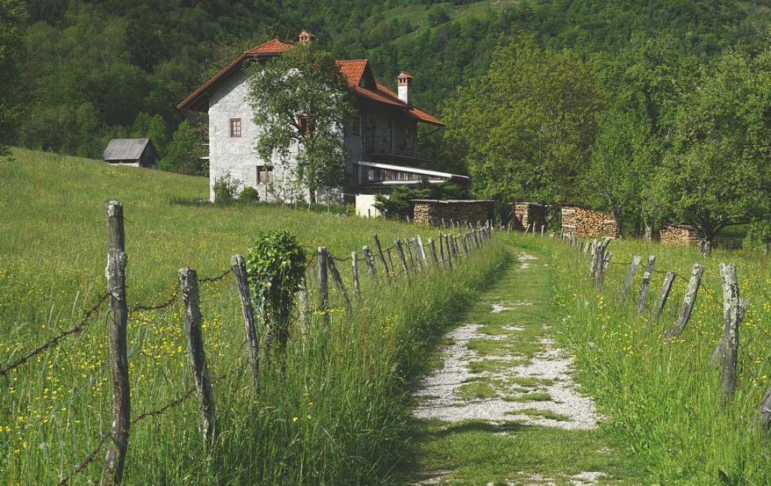 Teodora i Nemanja su napustili SAD i preselili se u selo u Srbiji: 