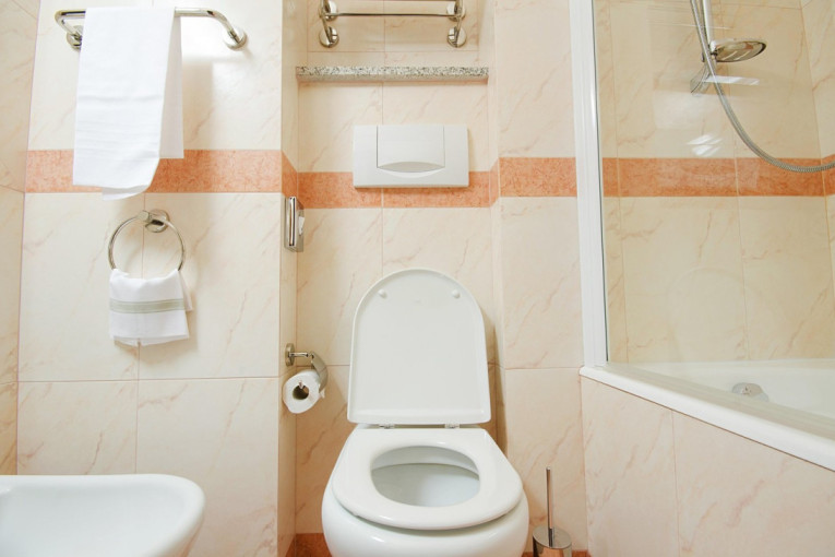 Neobično, a delotvorno: Zašto neki ljudi uveče ubacuju čen belog luka u WC šolju?