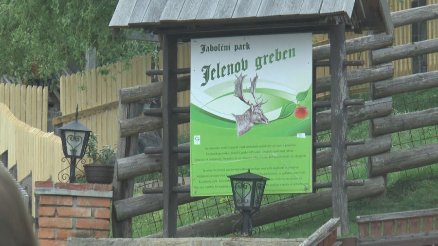 Pitomi jeleni vam jedu iz ruke! Zavirite u nestvarnu bajku u selu Olimje (FOTO)