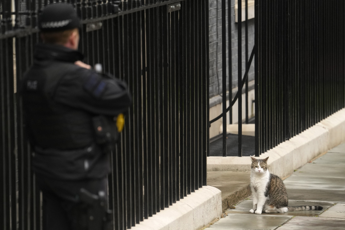 Premijeri se menjaju, ali mačak Lari ostaje: Neobična priča o gospodaru miševa iz Dauning strita broj 10 (FOTO)