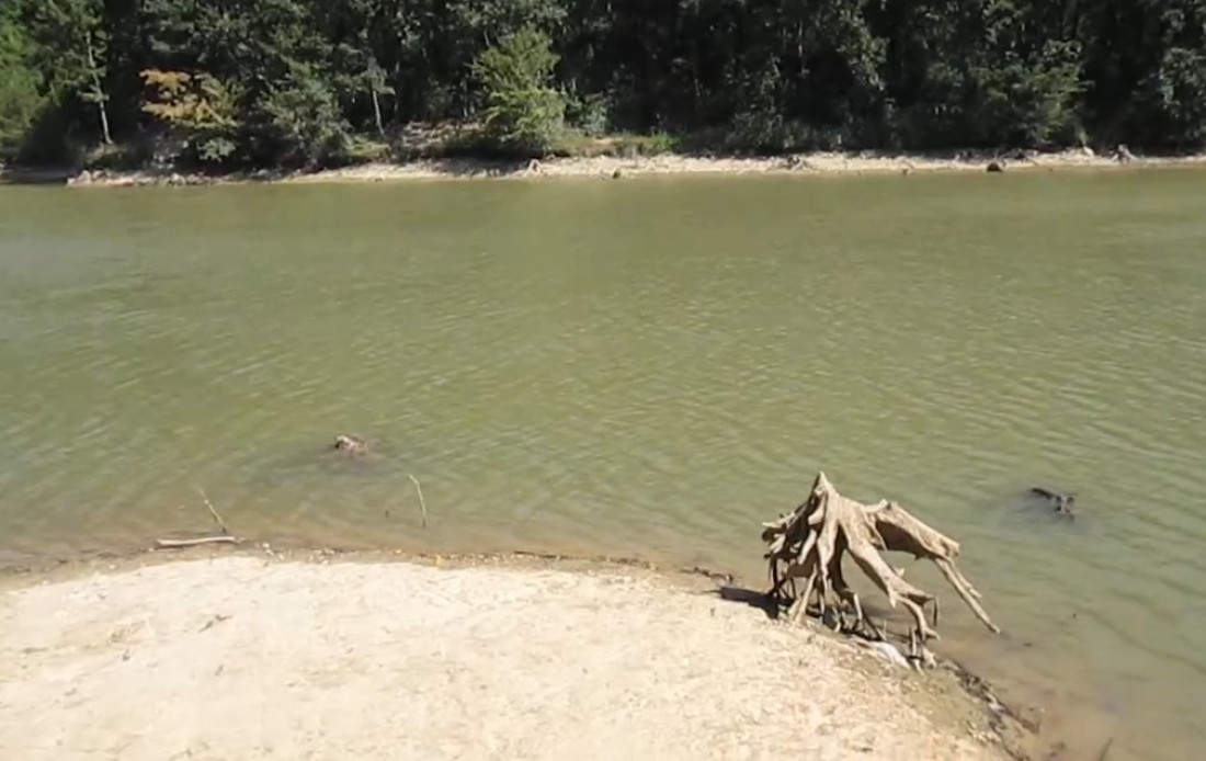 Letnje osveženje tokom tropskih dana: Ovo su najbolja kupališta blizu Beograda koja ne smete propustiti! (FOTO)
