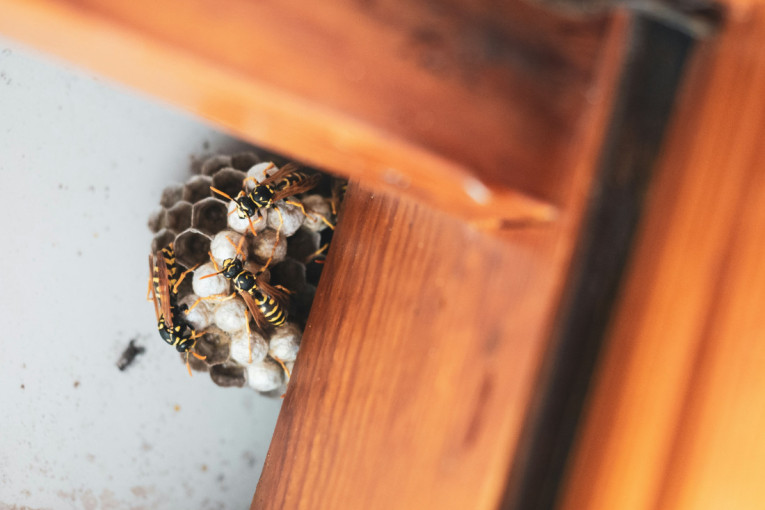 Prohladno jutro, ali popodne više sunca: Leto se vratilo u velikom stilu, danas 33 stepena!