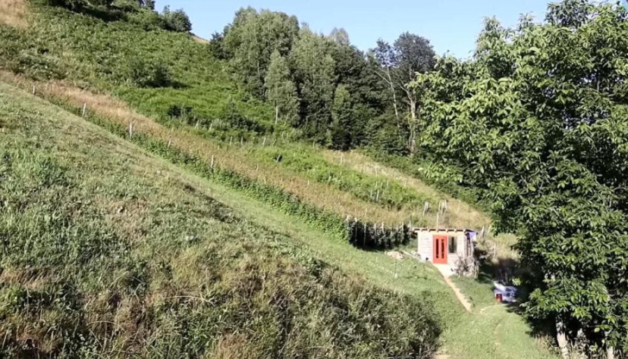 "Ljudi uzmu godišnji, pa na more, a ja u maline": Za dva dana uzme celu platu, ovaj 23-godišnjak objasnio kako se stiče u životu