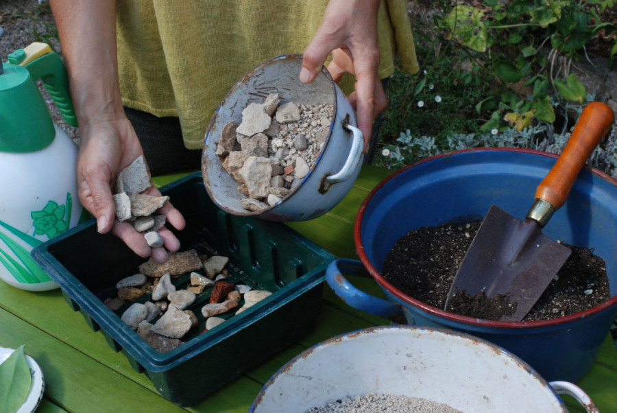 Da biljke bujaju kao blesave: Stručnjak za bašte otkriva da li treba stavljati kamenje na dno saksije