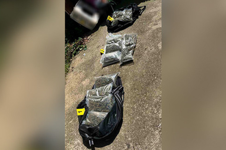 U garaži 11 paketa: Ovo je zaplena droge u Novom Sadu (FOTO)