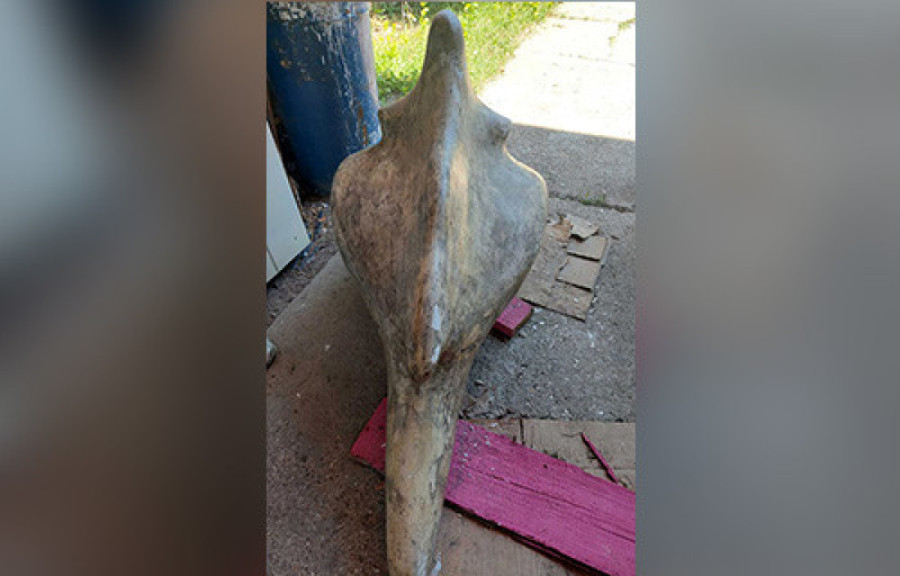 Priznao da je ukrao "Delfina": Saslušan osumnjičeni za krađu skupocene skulpture